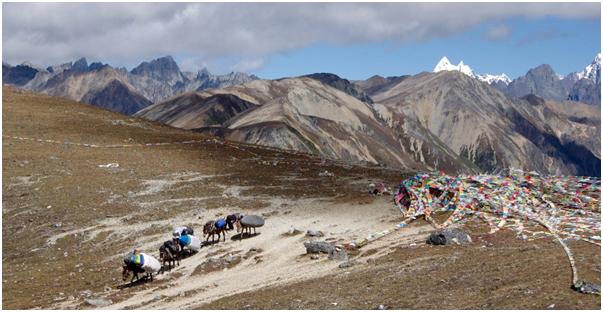 Mystery Tripping in South East Asia